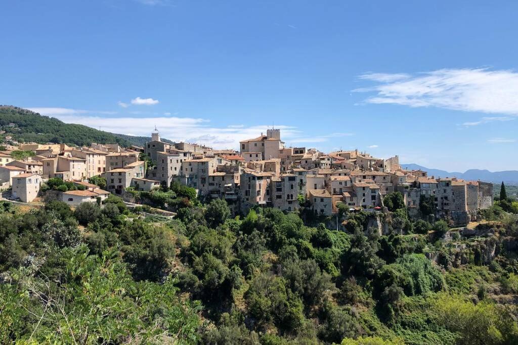 Appartement Au Calme Dans Un Espace Arbore Tourrettes-sur-Loup Eksteriør bilde